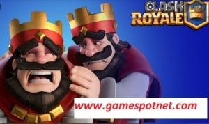 stats royale features